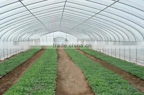 Agriculture Commercial Plastic Film Covered Greenhouses photo-6