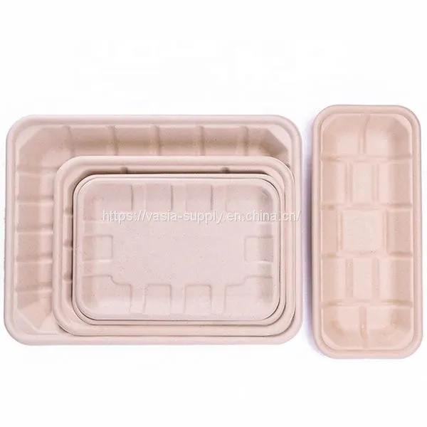 Eco Friendly Factory Direct Bagasse Rectangle Tray Disposable Tableware Multi-use Serving Platter Food Tray photo-4