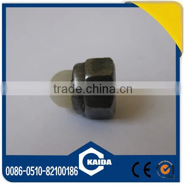 Nylon Cap Nut photo-3