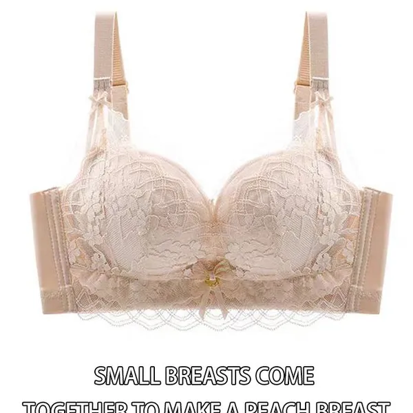 Factory Sale Womens Lace Underwire Padded Plus Size Bra Sexy Lace 3/4 Cup Bra photo-5
