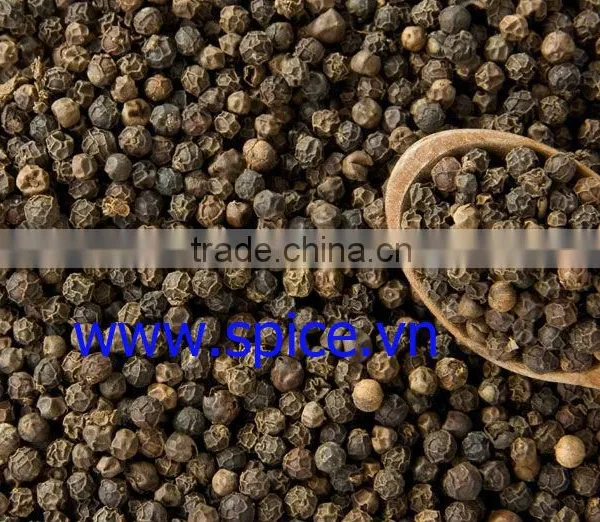 BLACK PEPPER - Vietnam, CLEANED, HIGH QUALITY, BEST PRICE