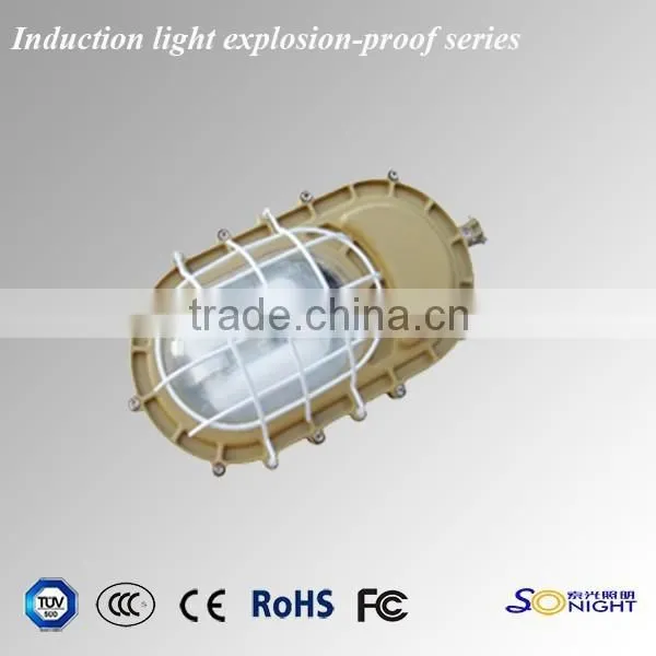 40w 50w 60w Induction Tri-proof Lights photo-6