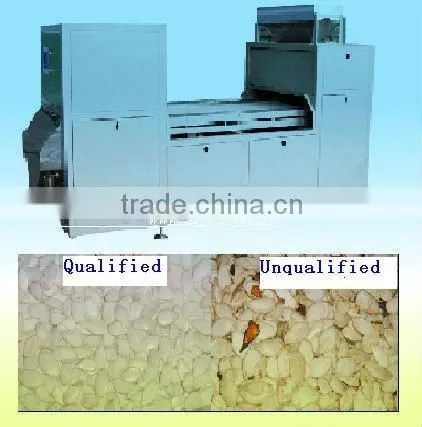Sunflower Seed Kernels Color Sorting