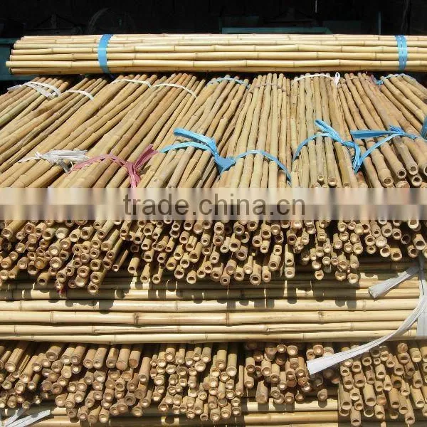 Bamboo Canes