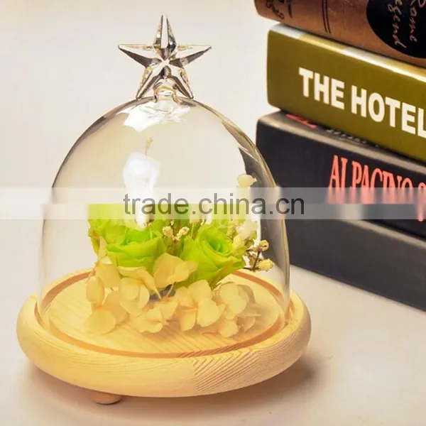 Glass Cake Plate With Dome photo-3
