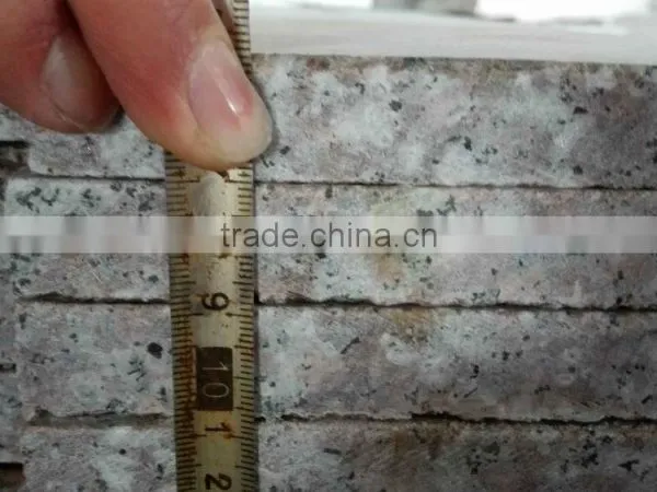 G687 Granite Pink Porno Granite G687 Granite Floor Tiles photo-3
