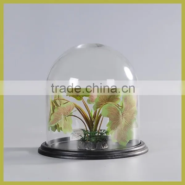 glass dome with MDF base in black