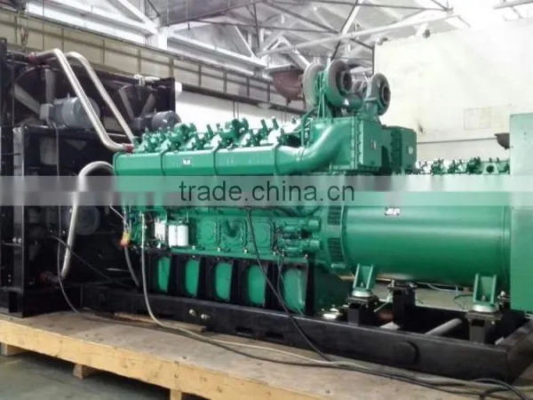 Biogas Generator 1mw