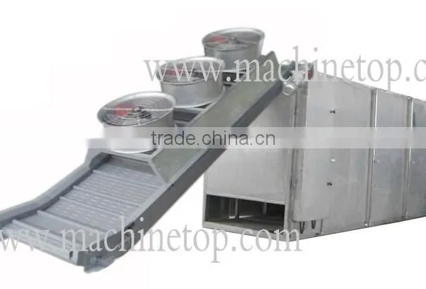 Straight Blowing Type Conveyor Dryer/The Most Advanced/professional Direct Blowing Diced Onion/banana Chips Dryer