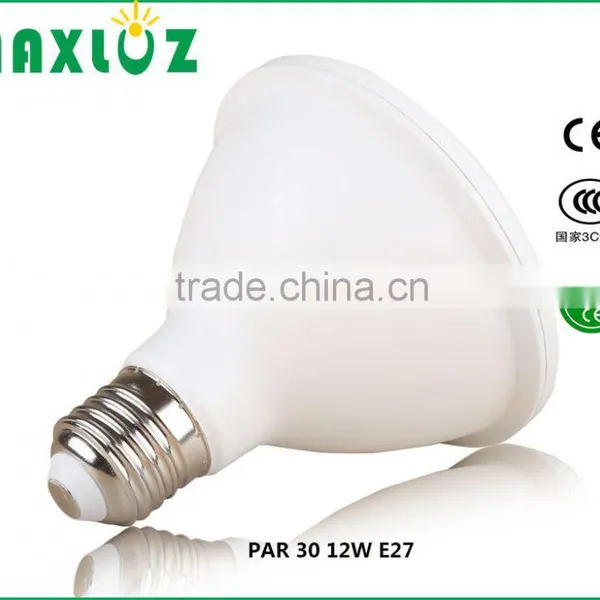Led PAR Light PAR 30 SMD12W