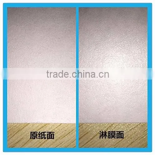 2015 High-quality Absorbent Paper Pad photo-6