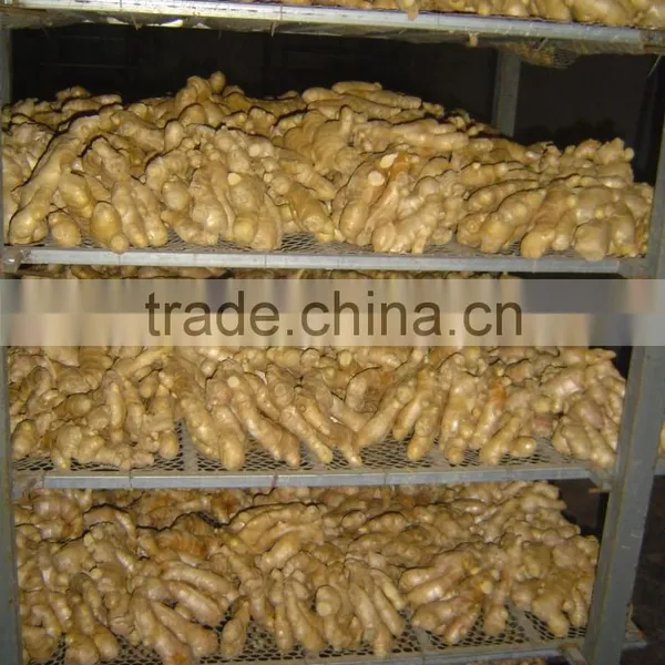 Fresh Semi-air Dried Ginger photo-6