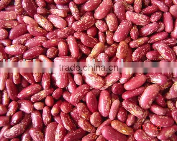Light Speckled Kidney Bean