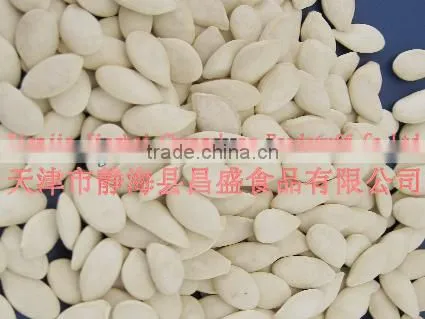 Roasted and Salted Snow White Pumpkin Seeds photo-3
