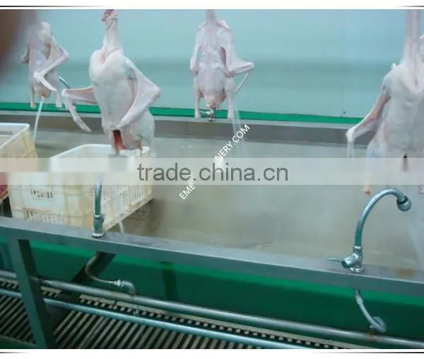 High Quality Poultry Slaughterhouse Equipment Viscera Collection Channel For Chicken Abattoir Plant photo-6