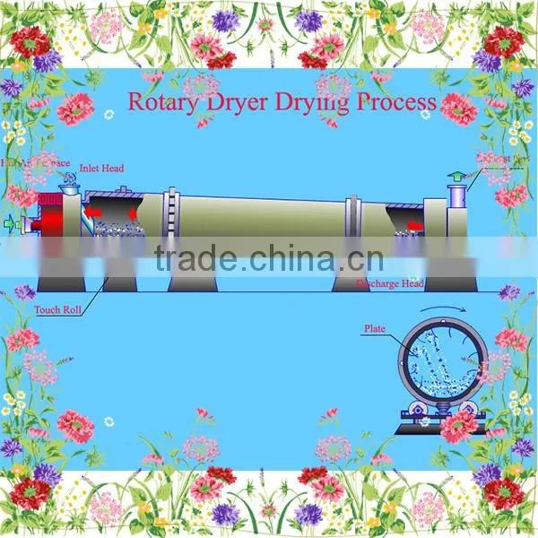 Professional Manufacturer of Rotary Drum Dryer / Wood Chips Rotary Dryer photo-4