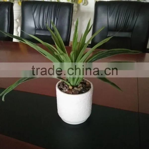 Factory Price Desk Set Decoration Mini Artificial Bonsai photo-2