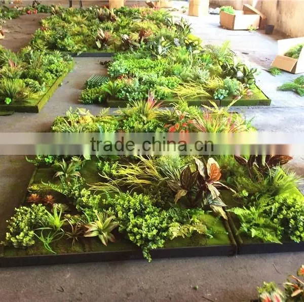 Home Garden Wedding Decoration 200cm*100cm Green Original Succulent With Moss Carpet Grass Wall E03 0501 photo-5