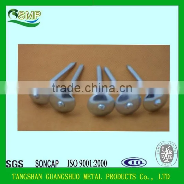 Umbrella Head Roofing Nail/Galvanized Roofing Nails With Washer photo-4