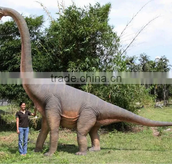 Brachiosaurus photo-2