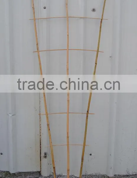 Bamboo Plant Protector and Supporter photo-3