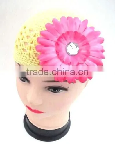 Gerbera Daisy Flower photo-3