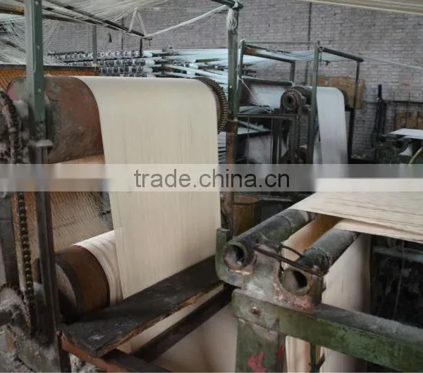Cotton Canvas Webbing Good Quality and Low Price/It's Your Good Choice! Made in China Shengquan for Biscuit Bake photo-3