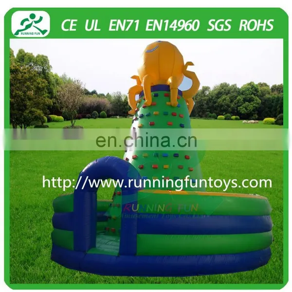 Inflatable Rock Climbing Wall, Inflatable Rock Climbing Wall Price for Sale photo-4