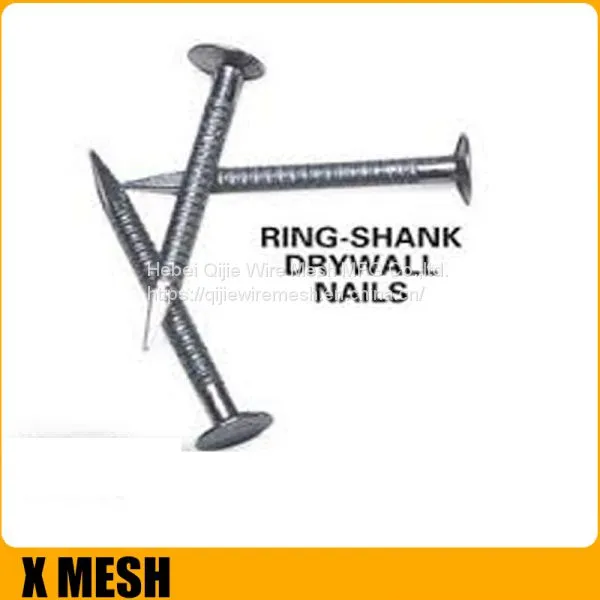 40D 5inches Length Galvanized Common Wire Nails photo-5