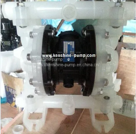 DBY Electric Diaphragm Pump photo-3