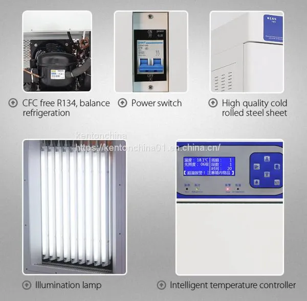 Kenton Crystal Display Illumination Incubator Seeds Germination Incubator Plant Illumination Box photo-2