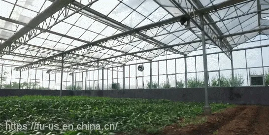 Multi Span PC GLASS Agricultural Greenhouse photo-5