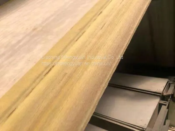 Mid-speed Corrugator Belt Conveyor Belt for Corrugated Board Packing Industry