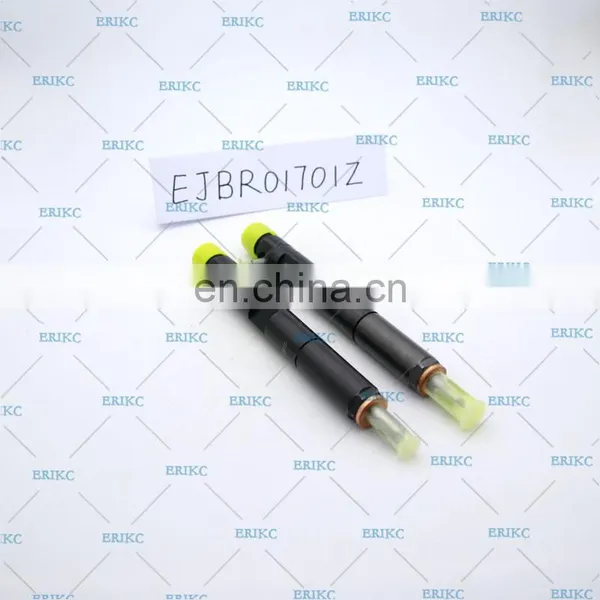 ERIKC EJBR01701Z Diesel Fuel Injector EJB R01701Z Common Rail Injector 8200365186 1701Z for RENAULT CLIO Euro 3 photo-6
