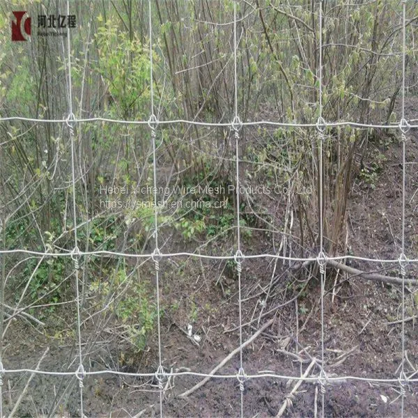 Surrounding Type Metal Fence for Grassland /field Fence Attractive Appearance photo-4