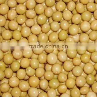 Non-gmo Soybean photo-4