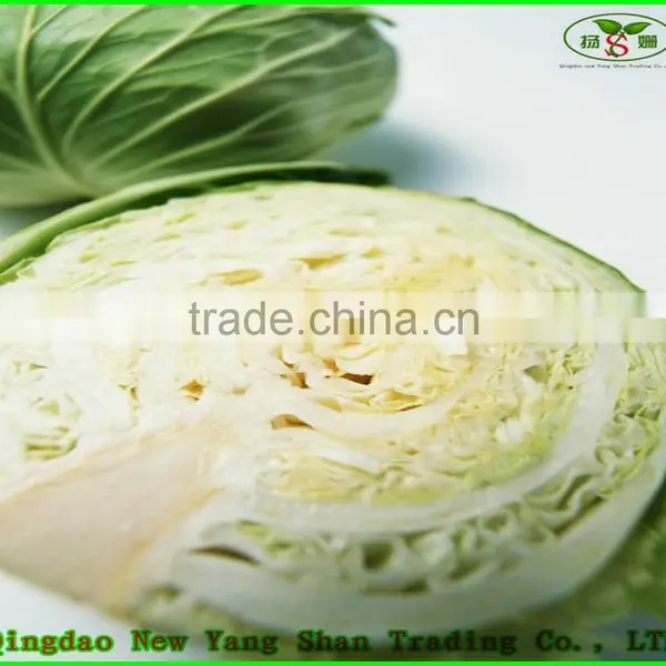 (HOT) 2015 Cabbage Wholesaler/cabbage Prices photo-2