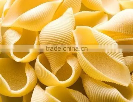 Fully Automatic Stainless Steel Puttanesca Processing Equipment photo-4
