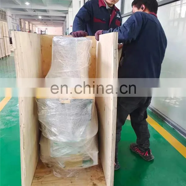 Factory Provide Automatic Philippines Siomai Wrapper Making Machine for Food Maker photo-4