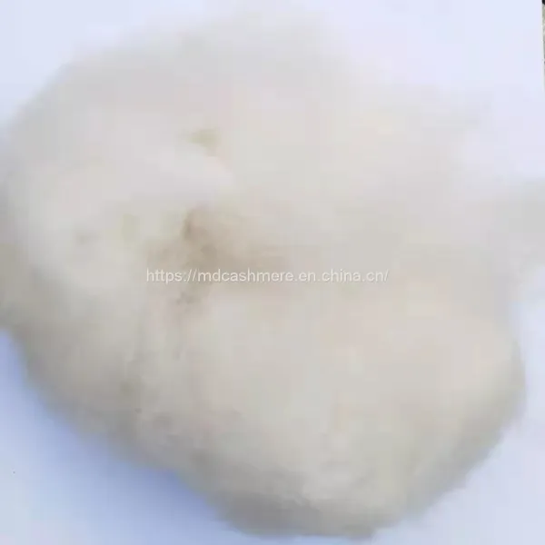 Chinese Dehaired Cashmere Fibre Inner Mongolia Xinjiang Cashmere 15.50micron