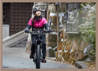 Trustworthly Factory Electric Bike 48V 60V 350w 500w 10ah 13ah Electric Cycle for Daily Life photo-4