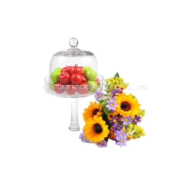 Glass Dome photo-2