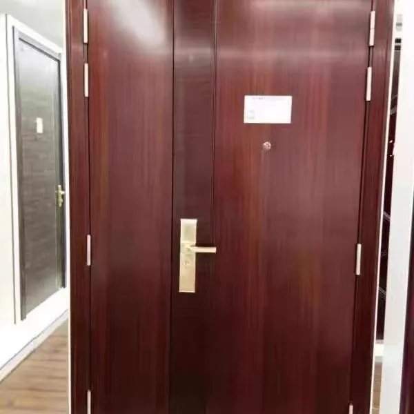 Entrance Door photo-2