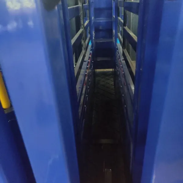 High Quality Cattle Panel Squeeze Crush Cattle Handling Equipment With Weighing System photo-2