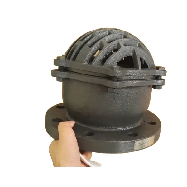 Best Selling BS Standard Cast Iron Foot Valve 2 Inch PN16 Flanged End Foot Valve photo-2