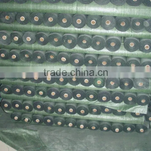 Non Woven Landscape Ground Cover Factory photo-2