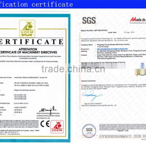 Full Automatic Paper Cups Forming Machine With CE Certificate With Good Price photo-6