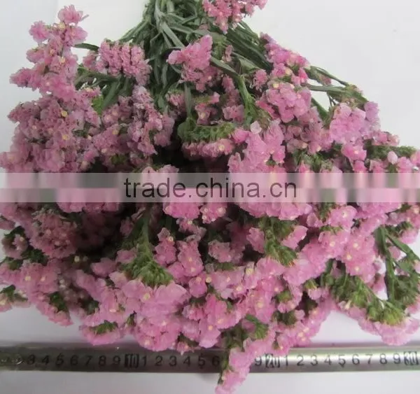 Colorful Hot Sale Decorative Supplies Myosotis photo-3
