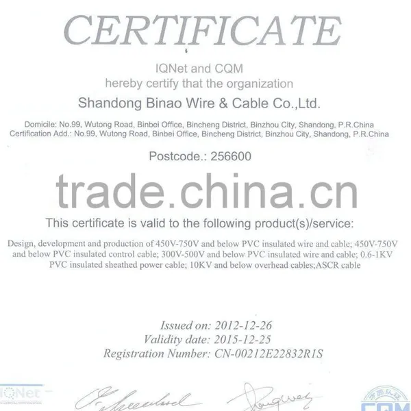 VV22,0.6/1KV XLPE or PVC Insulated Steel Tape Armored Power Cables photo-6