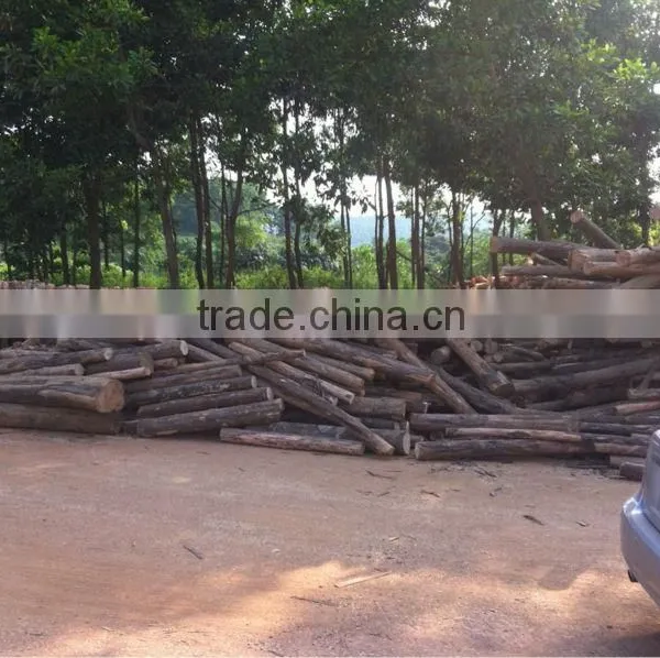 Acacia Core Veneer photo-4